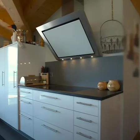 Penthouse Aa Ski Inout Apartment