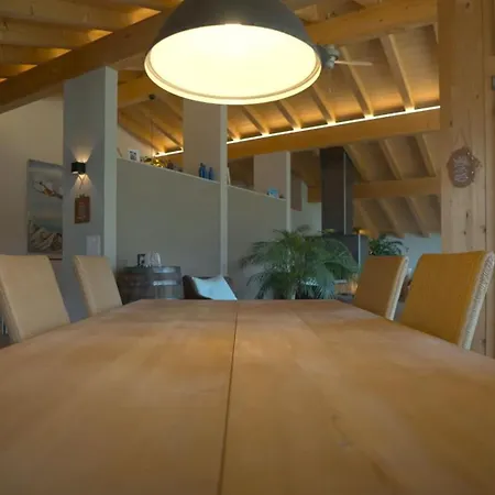 Penthouse Aa Ski Inout Apartment