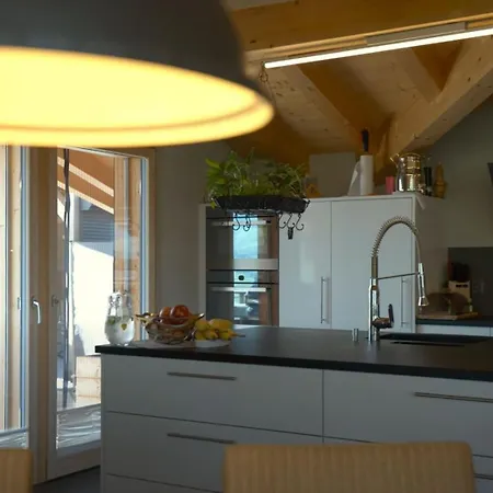 Penthouse Aa Ski Inout Kitzbuhel